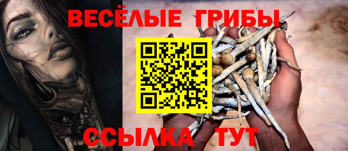 купить   Вход с VPN  Солнечногорск  Псилоцибиновые грибы мицелий  Галлюциногенные грибы Psilocybe 